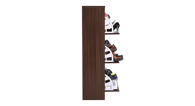 Portain Shoe Cabinet Simple (Dark Walnut)